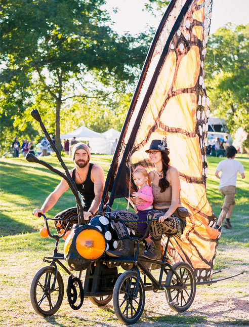 Picture of a bicycle turned into a butterfly art cycle.
