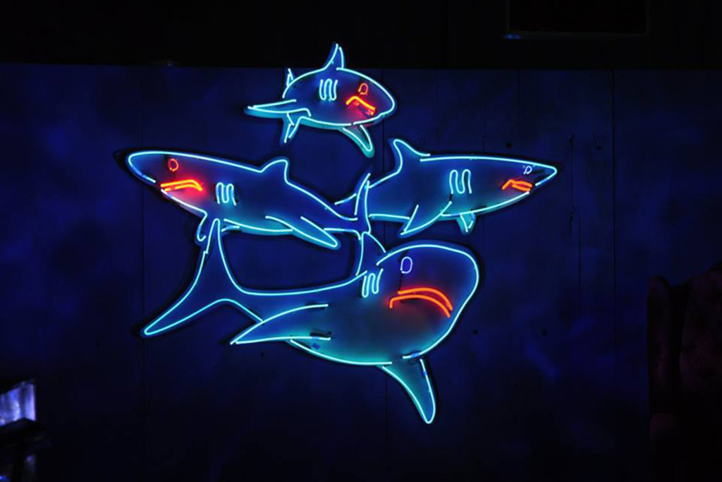 Picture of blue neon sharks hanging on the wall.