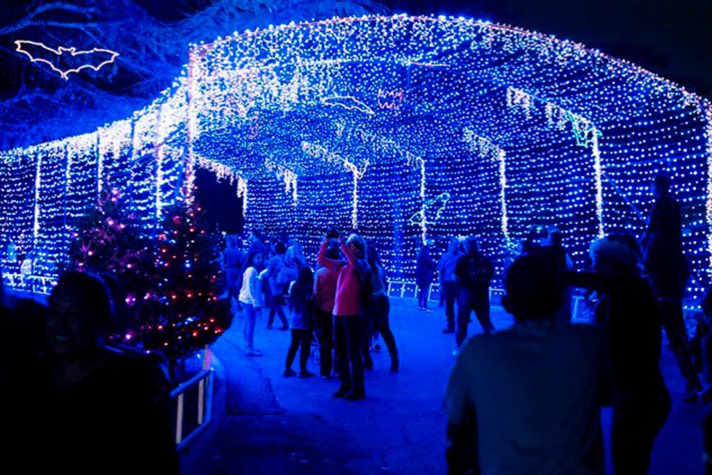 Picture of attendees walking through a tunnel covered in Holiday lights.