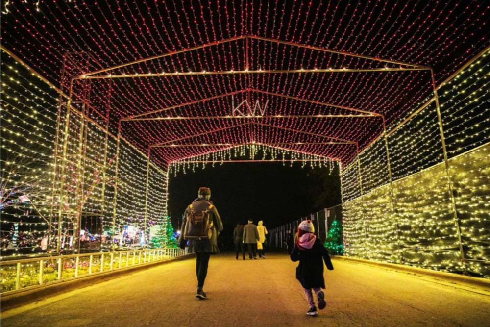 Picture of attendees walking through a tunnel covered in holiday lights.