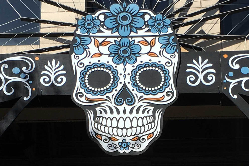 Picture of the painted sugar skull rental. 